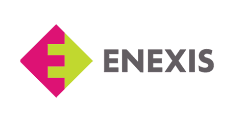 enexis logo